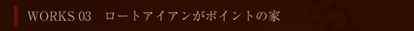 WORKS 03 [gACA|Cg̉