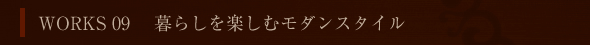 WORKS 09 炵yރ_X^C